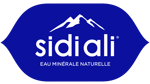 Sidi Ali